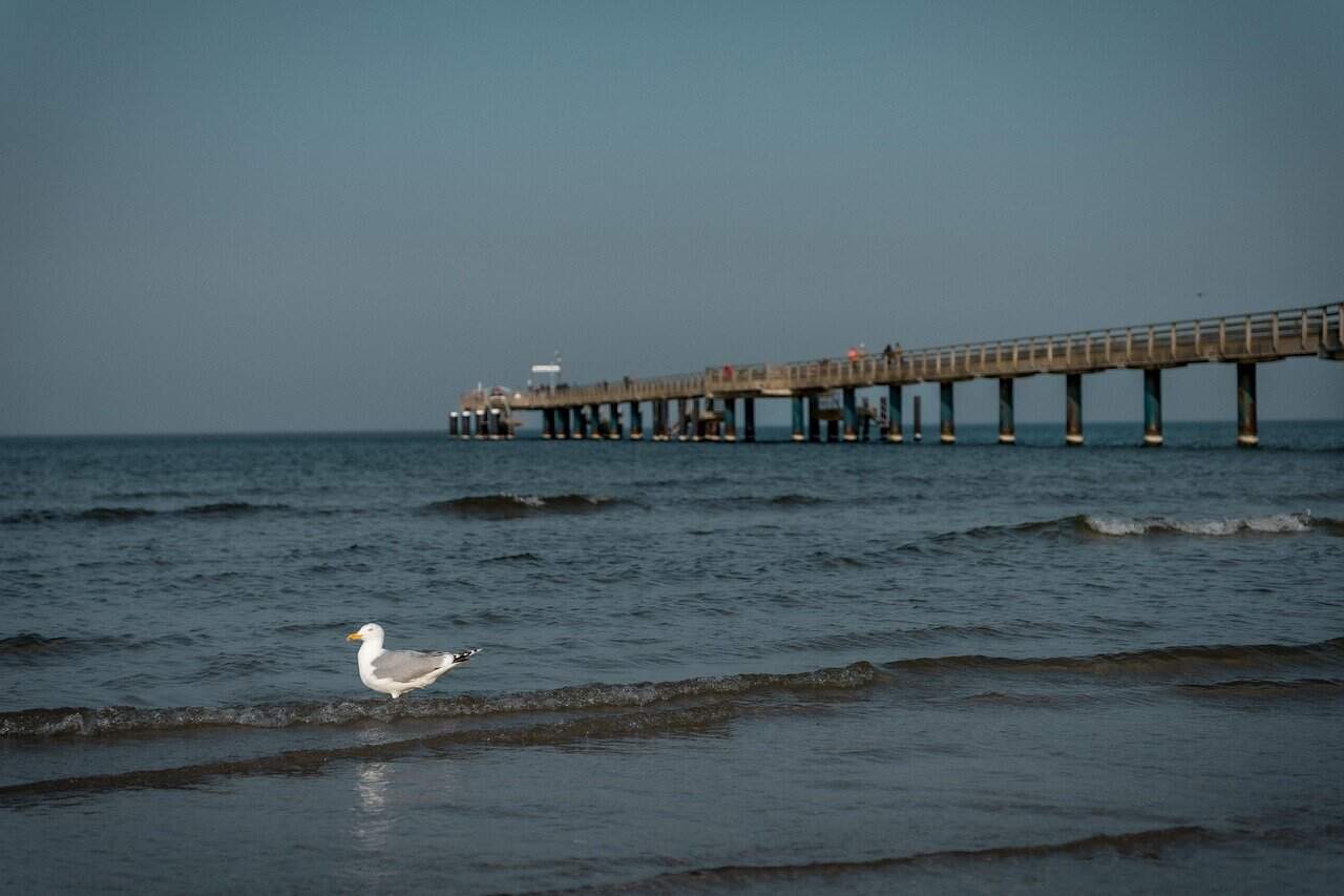 Einsamer Strand auf der Halbinsel Mönchgut