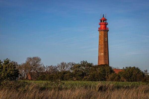 lighthouse, tower, coast, fehmarn, baltic sea, navigation, beacon, fehmarn, fehmarn, fehmarn, fehmarn, fehmarn
