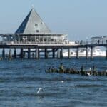 usedom, island, island of usedom, beach, sea, tourism, western pomerania, kaiserbad, pier, baltic sea, northern germany, heringsdorf, gull, cormorant, ship, nature, restaurant