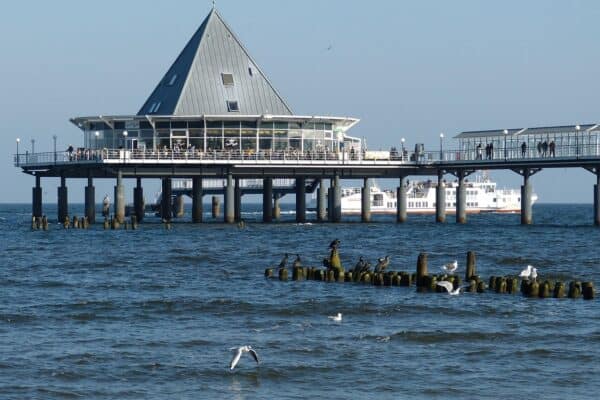 usedom, island, island of usedom, beach, sea, tourism, western pomerania, kaiserbad, pier, baltic sea, northern germany, heringsdorf, gull, cormorant, ship, nature, restaurant