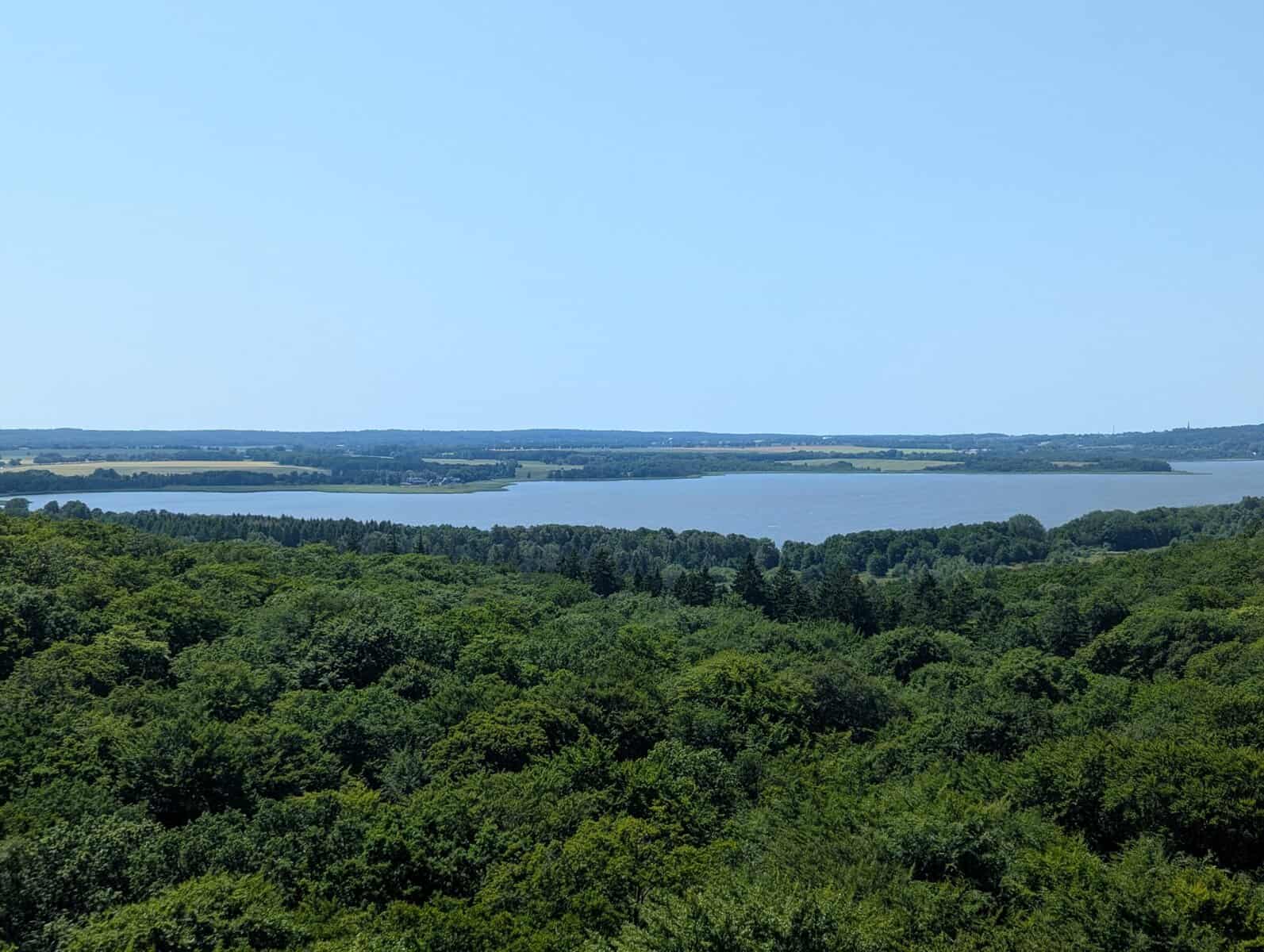 Aussicht vom Adlerhorst Aussichtsturm