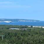 Baumwipfelpfad im Naturerbe Zentrum Rügen (9)