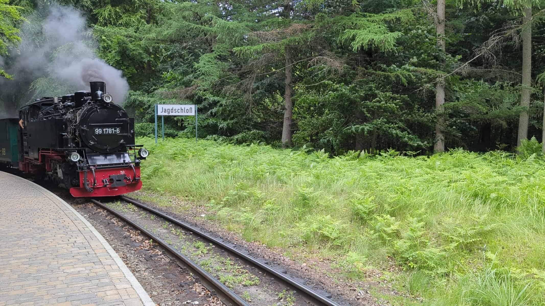Rasender Roland auf Rügen